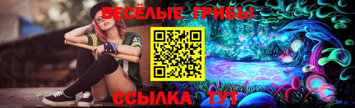 Галлюциногенные грибы Psilocybe Дедовск
