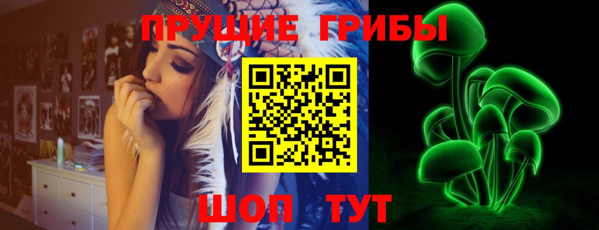 Галлюциногенные грибы Psilocybine cubensis  Вход с VPN  Дедовск  Псилоцибиновые грибы Psilocybe 